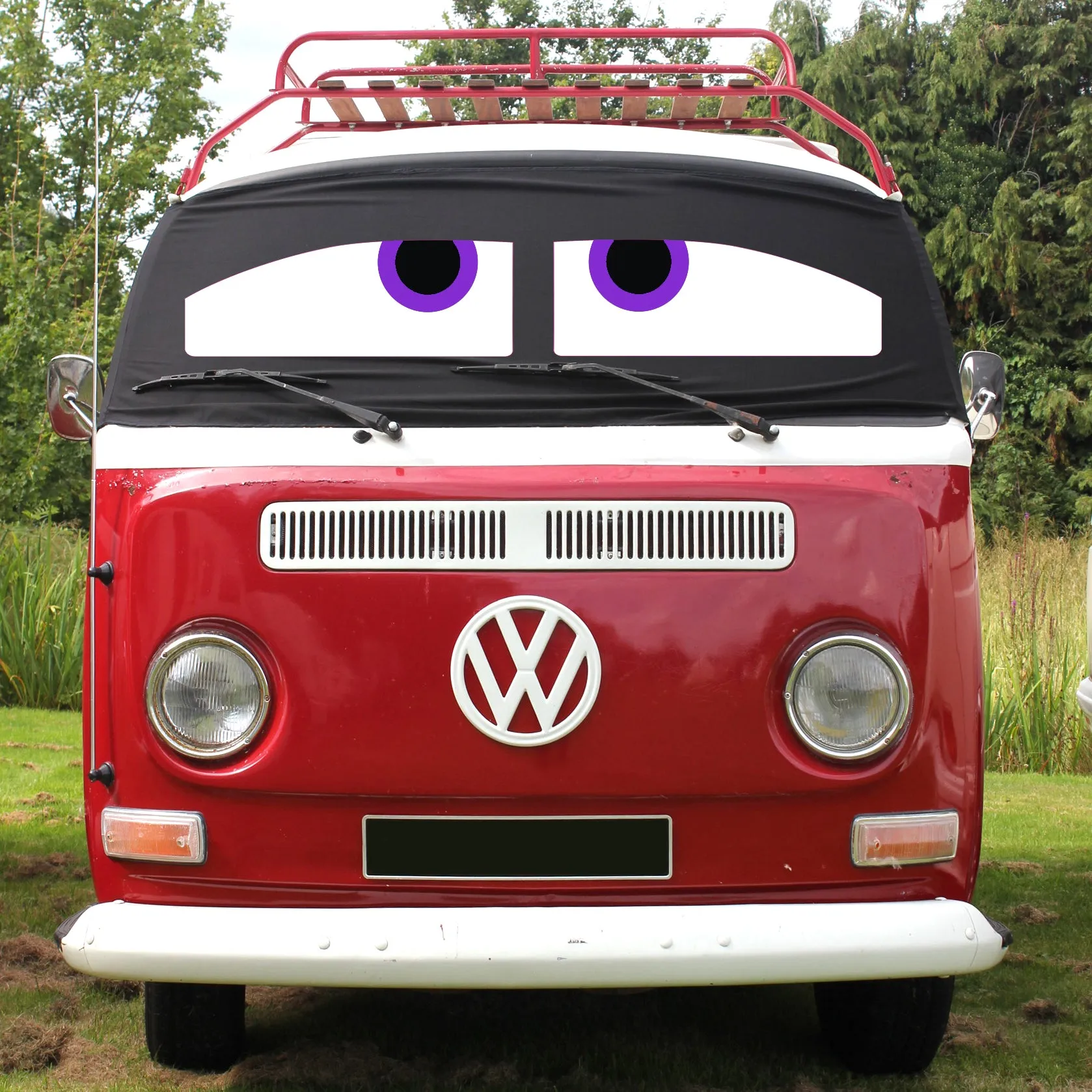 T2 Screen Wrap - Danny Eyes