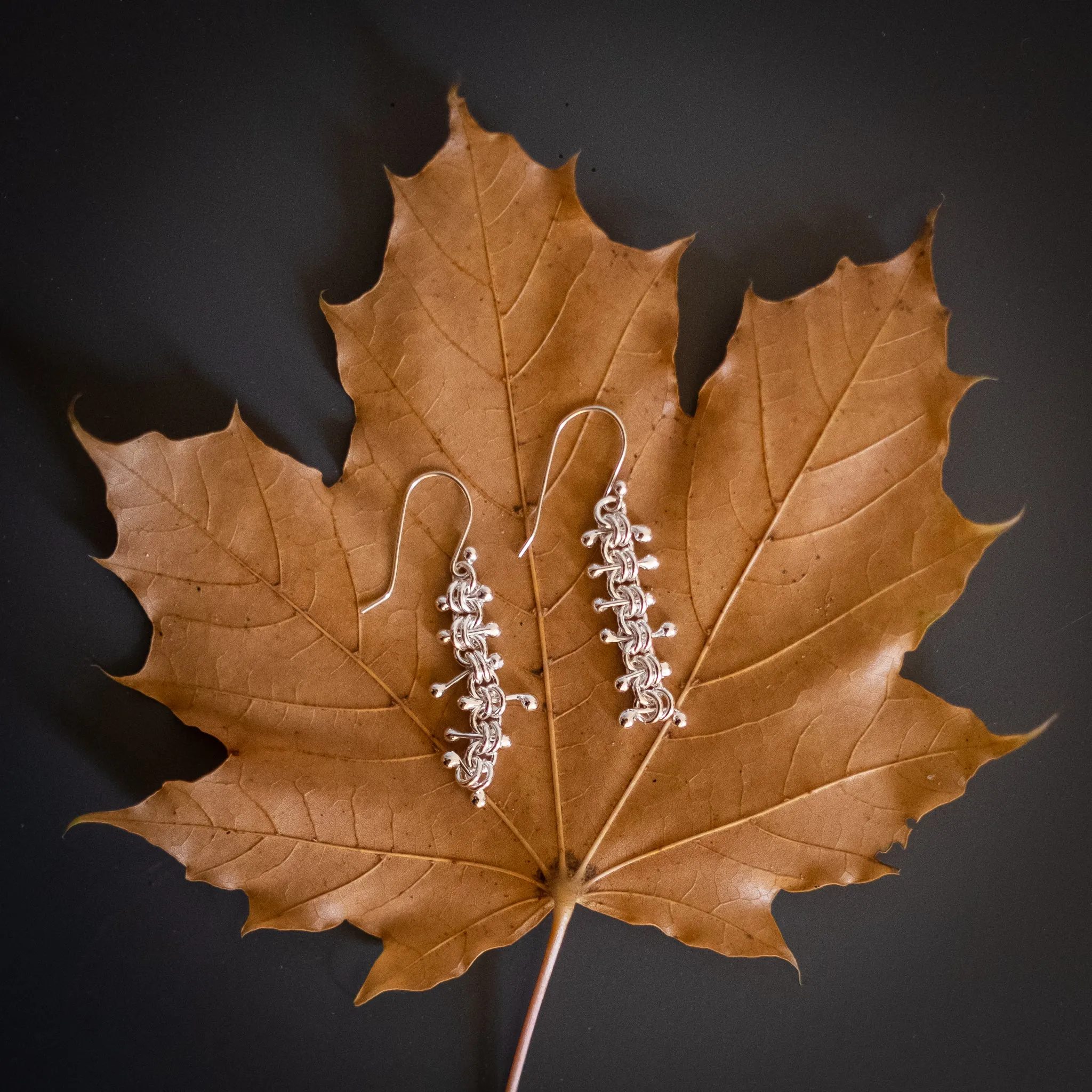 Vertebrae Earrings (Long)